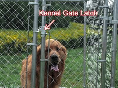 dog proof kennel latch